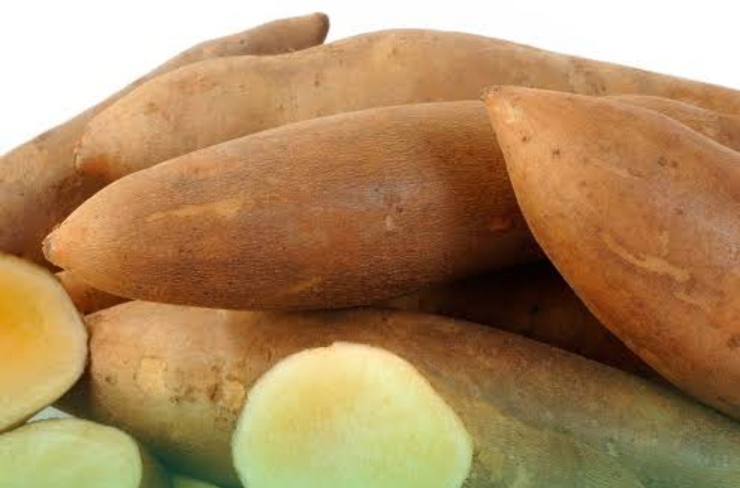Cara Alami Mengontrol Gula Darah Tanpa Efek Samping dengan Yacon Herbal