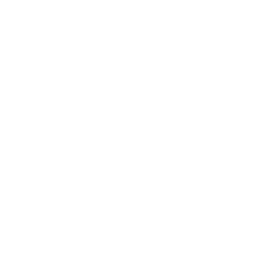 shopee