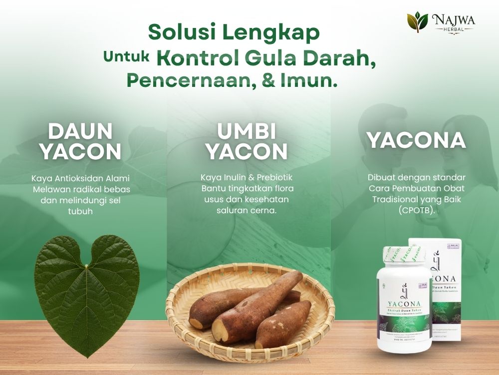 Najwa Original Herbal