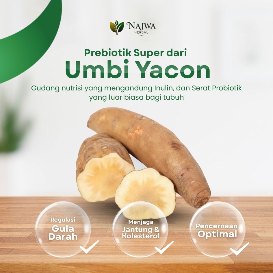 Umbi Yacon